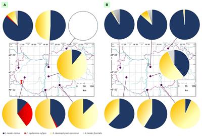 Ornithological and molecular evidence of a reproducing Hyalomma rufipes population under continental climate in Europe